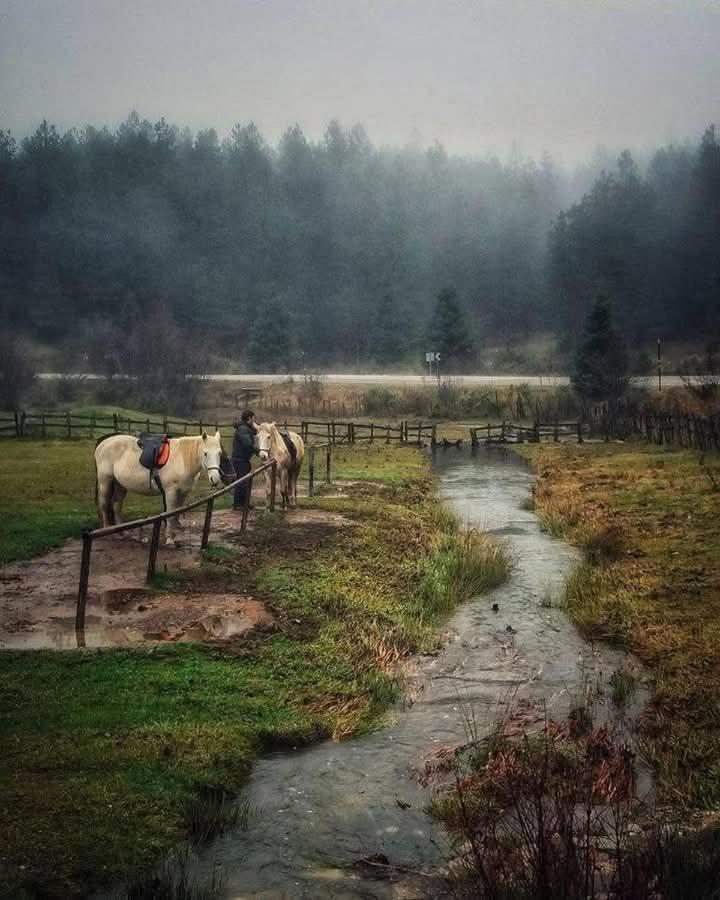 Archontiko Tou Krommyda Eláti Exterior foto